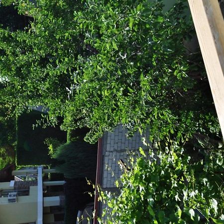 Dacha V Arkadii Hotel Odessza Kültér fotó