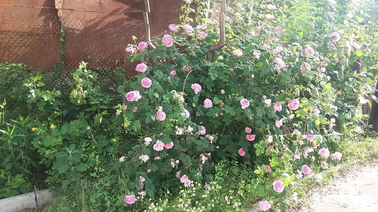 Dacha V Arkadii Hotel Odessza Kültér fotó