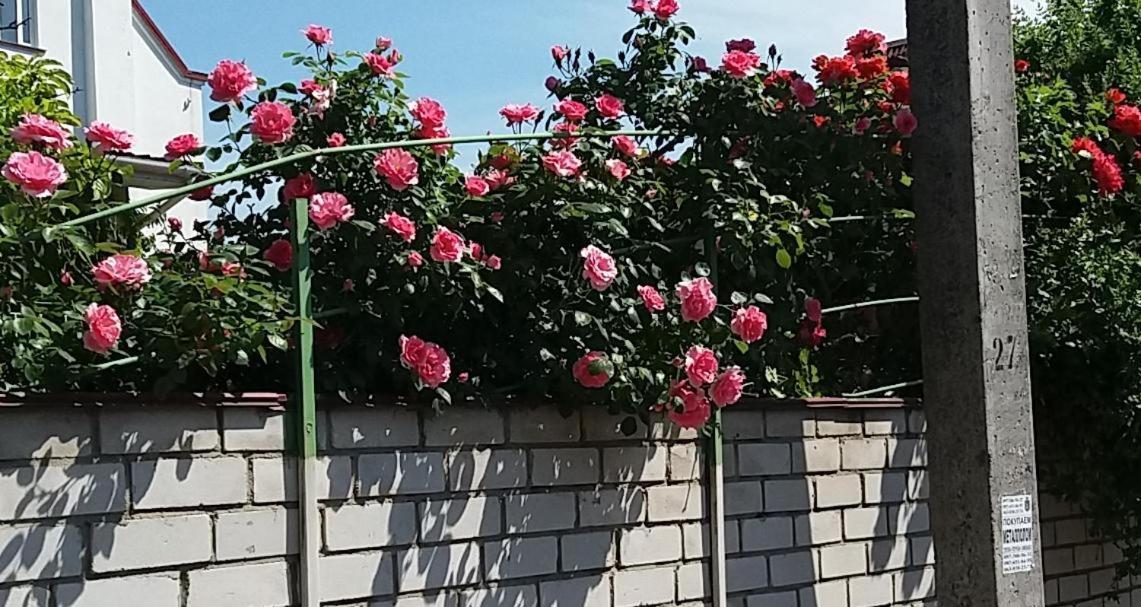 Dacha V Arkadii Hotel Odessza Kültér fotó