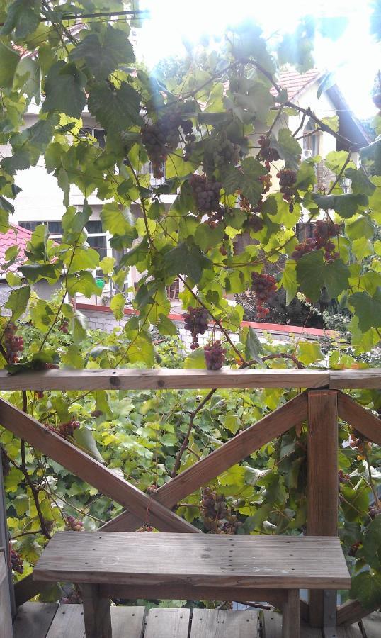 Dacha V Arkadii Hotel Odessza Kültér fotó